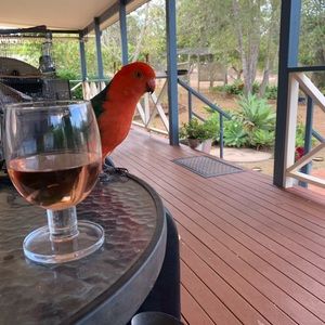 Meet your Posher, Katreena